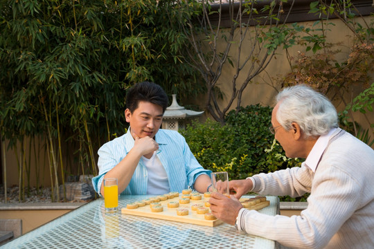 父子在庭院里下棋