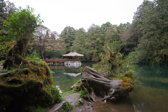 台湾阿里山