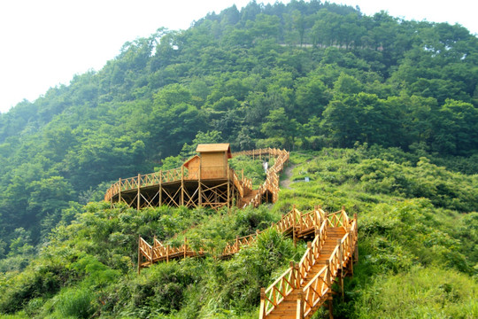 景区栈道 步梯 木梯 游步道