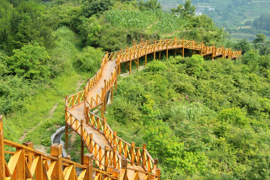 景区栈道 步梯 木梯 游步道