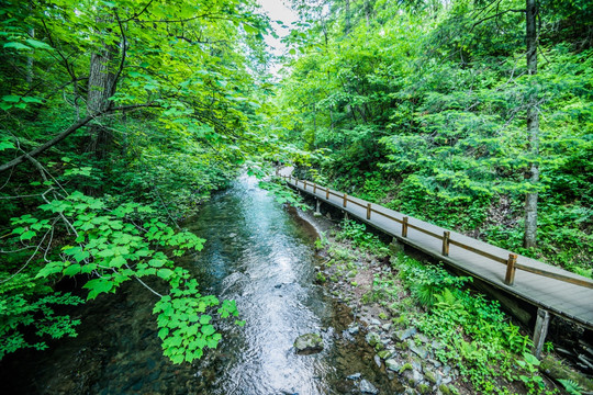 长白山瀑布景区