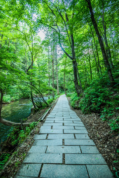 吊水壶瀑布景区