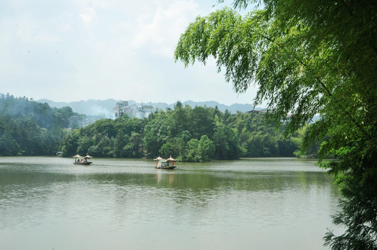 重庆綦江丁山湖 长春翠竹