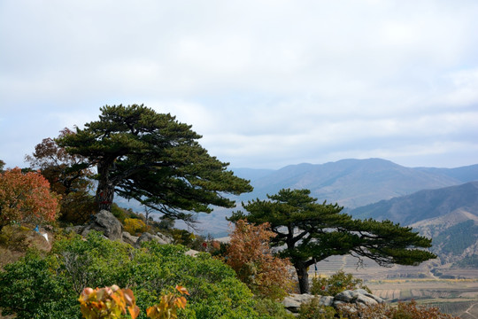 喇嘛山风景