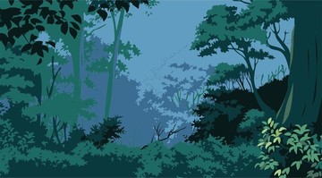 叢林深林樹林背景