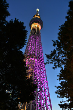东京天空树电视塔夜景