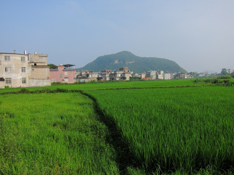 田园农村