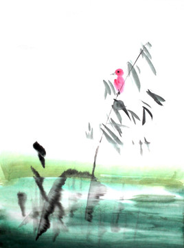 池塘中的小鳥