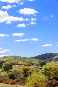 蛤蟆坝附近山丘秋景