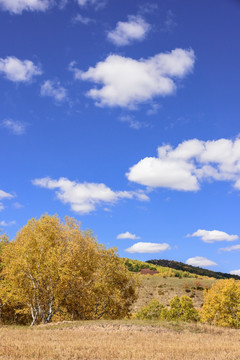 蛤蟆坝附近山丘秋景