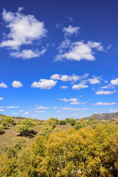 蛤蟆坝附近山丘秋景