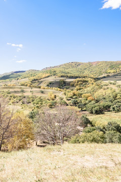 蛤蟆坝附近山丘秋景