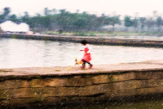 雨中归家的江南小女孩与狗