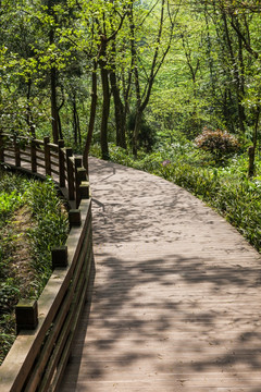 青城山