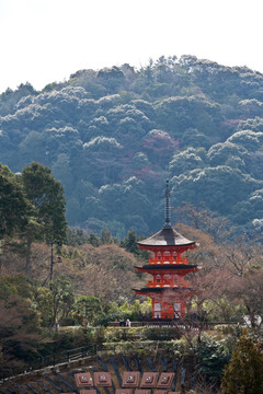 日本清水寺