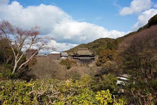 日本清水寺