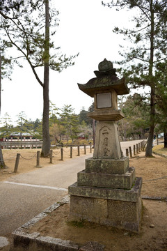 日本奈良东大寺