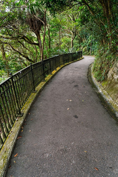 林間小路