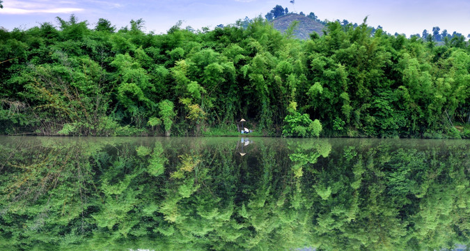 森林风景 高清