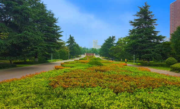 中国科学技术大学