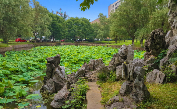 中国科学技术大学