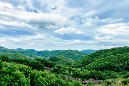 远山山脉 森林植被