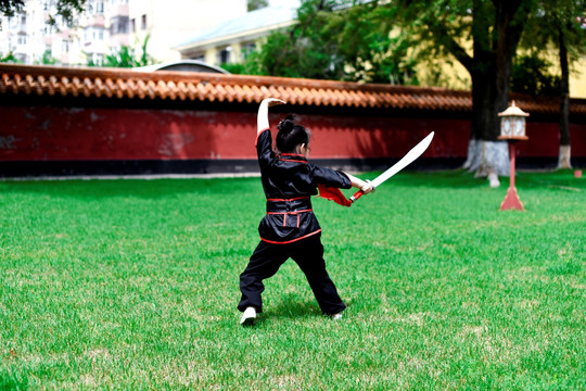 武术表演 武术武功