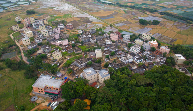 村庄 乡村 美丽乡村