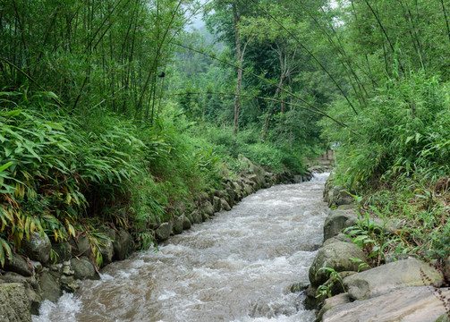 漂流 沐川漂流