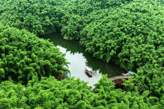 沐川竹海