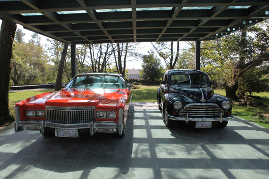 济州 济州岛 韩国 旅游 汽车