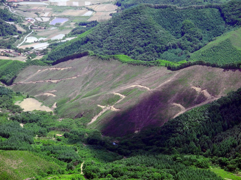 砍伐后的荒山