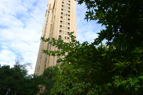 小区 建筑 庭院 园艺 草坪