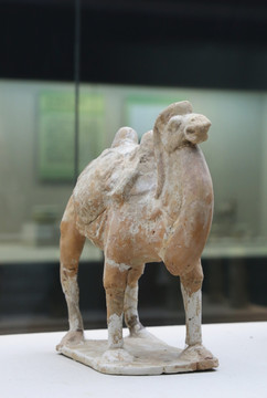 北朝时期陶骆驼
