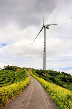 风电厂 风车公路