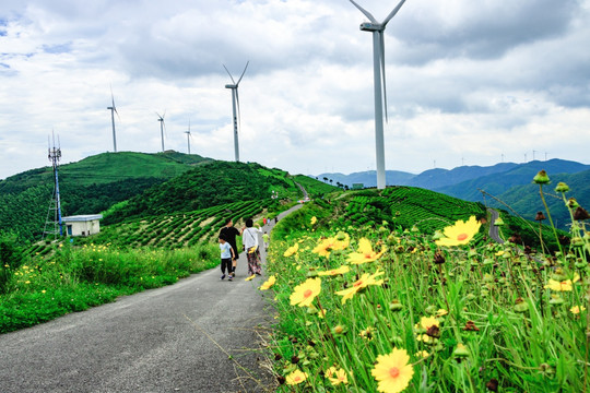 风电场 风车公路 风电厂