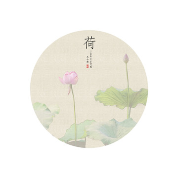 荷花掛畫