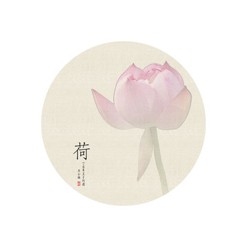 荷花掛畫