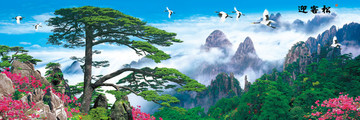 黃山迎客松壁畫