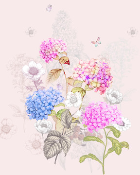 繡球花
