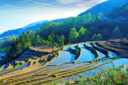 元阳梯田