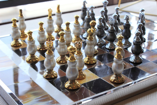 棋盘上的国际象棋