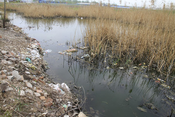 农村垃圾污染
