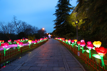 彩灯 城市亮化 春节 灯展