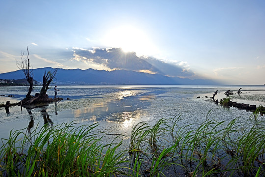 风景画 洱海风光