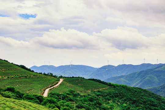 茶山公路 远山