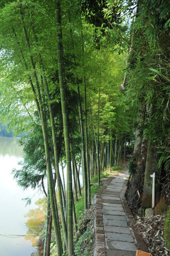 重庆丁山湖 丁山湖风光