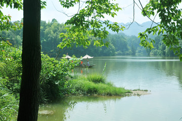 重庆丁山湖 湖 树 船