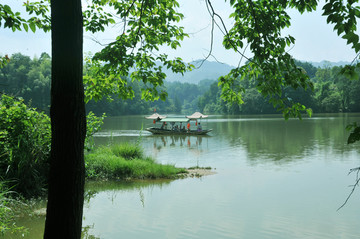 重庆丁山湖 湖 树 船