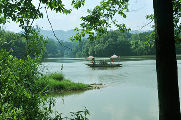 丁山湖图片 船 树